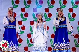 Фестиваль Клюквы 2014